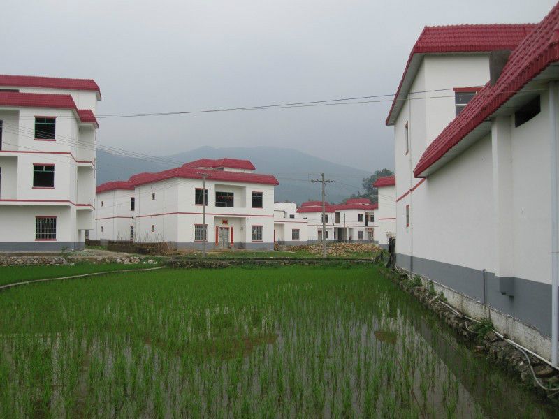 新圩梧村