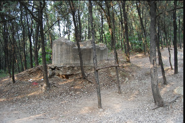 東山寺墓地 東山寺墓地