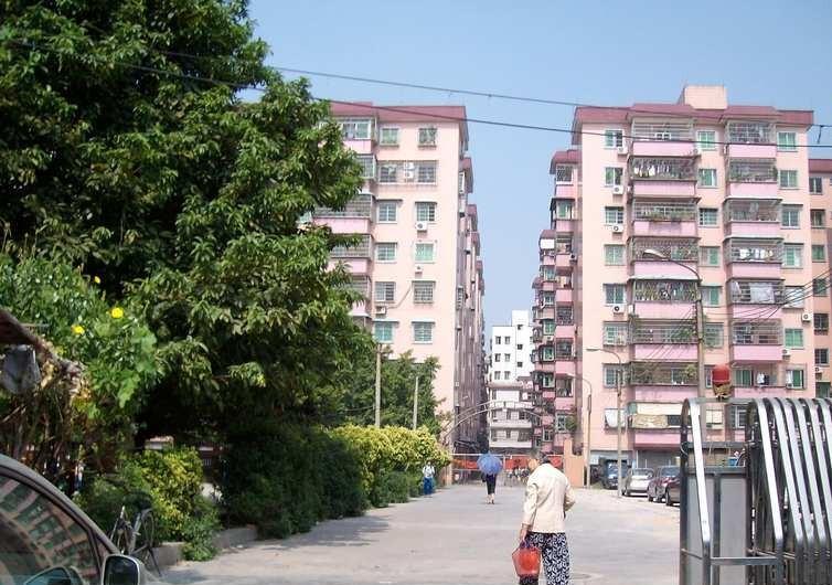 金東花園 金東花園