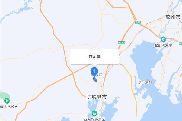 白龍街 白龍街
