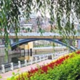 市東街道(山東省濱州市濱城區下轄街道)