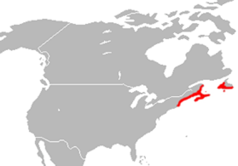 海貂分布區域圖
