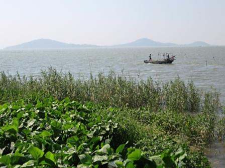 鮮灣村 鮮灣村