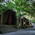 倘甸村 倘甸村