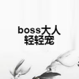 boss大人輕輕寵 boss大人輕輕寵