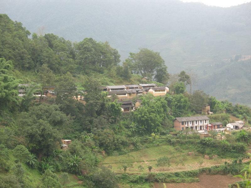 自強小村 自強小村