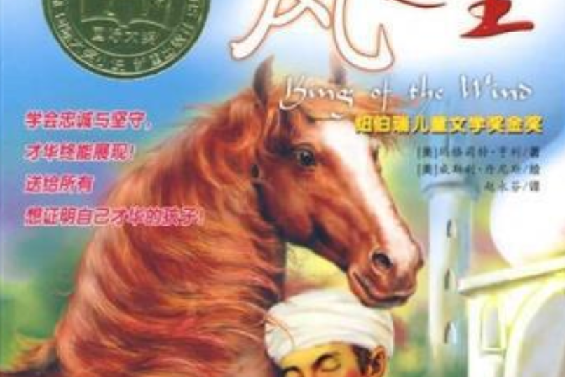 風之王(2007年新蕾出版社出版的圖書)