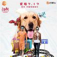 神犬小七第二季(神犬小七2) 神犬小七第二季(神犬小七2)