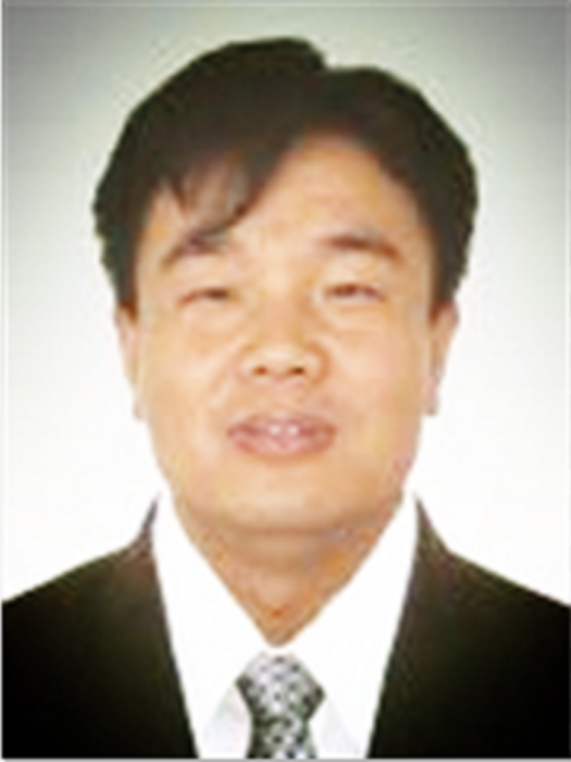 張輝(山東省泰安市岱嶽區委教育工委副書記，區教體局副黨組成員、副局長)