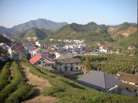 百園村 百園村