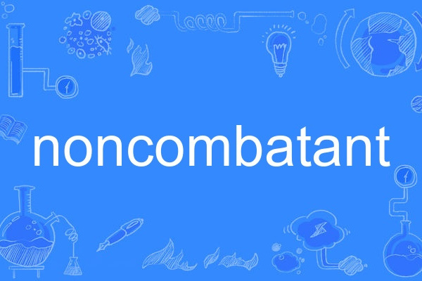 noncombatant noncombatant