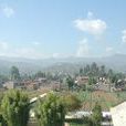 蜻蛉村