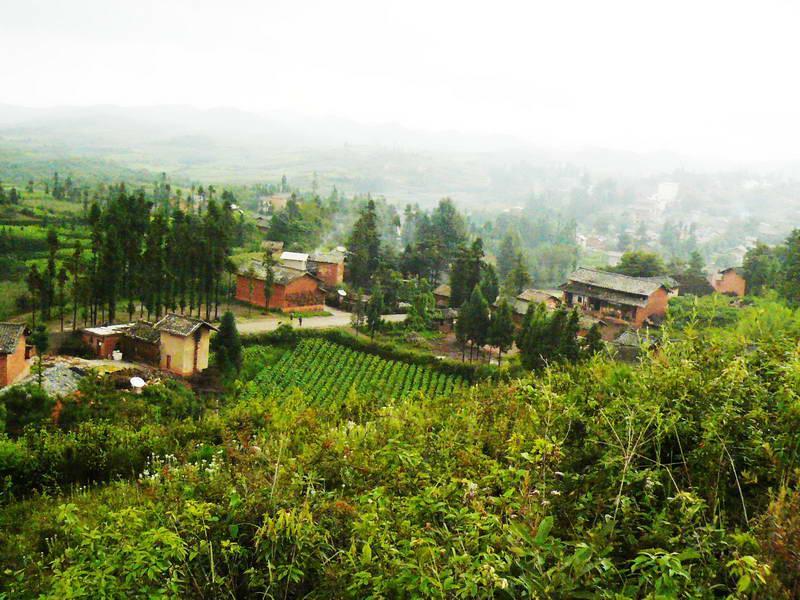 大直邑村 大直邑村