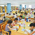 圖書館讀者 圖書館讀者