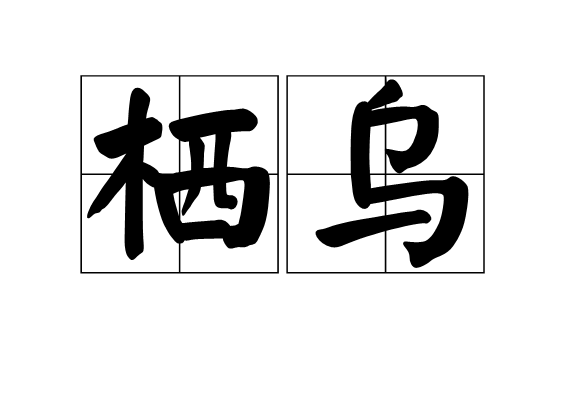 棲烏 棲烏
