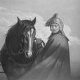 王錫袞(清朝武官、保定腰山王氏莊園創始人) 王錫袞(清朝武官、保定腰山王氏莊園創始人)
