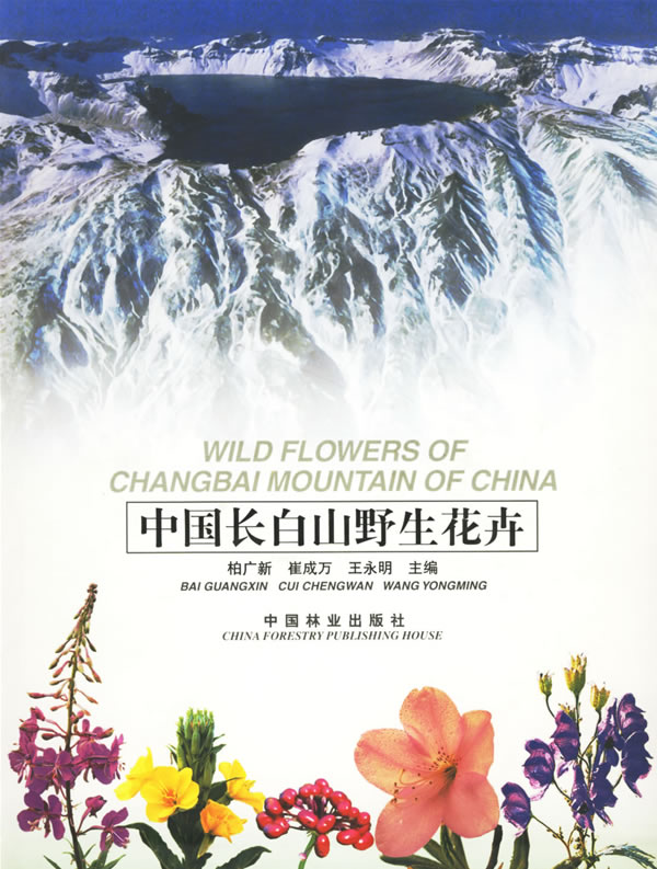 中國長白山野生花卉