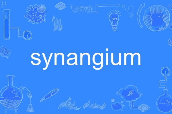 synangium synangium