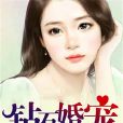 鑽石婚寵 鑽石婚寵