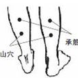 承筋穴 承筋穴