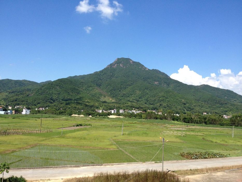 圳口村(浙江省台州市仙居縣白塔鎮下轄村) 圳口村(浙江省台州市仙居縣白塔鎮下轄村)