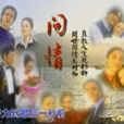 問情(2001年電視劇)