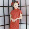 賈茹(2004年超級女聲) 賈茹(2004年超級女聲)