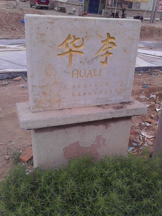 華李村 華李村