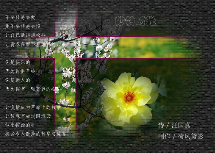 妙齡時光 妙齡時光