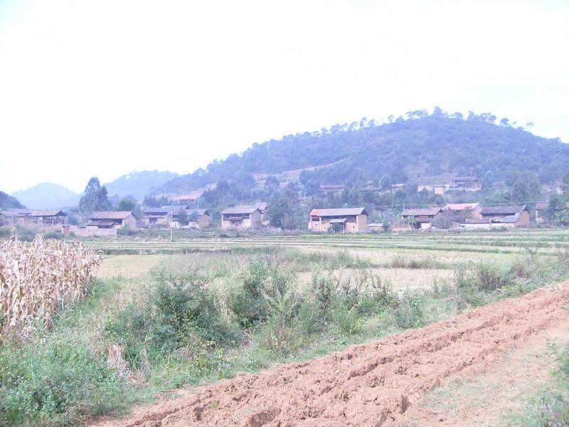倮邑泥村 倮邑泥村