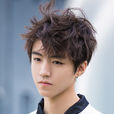 王俊凱(TFBOYS隊長) 王俊凱(TFBOYS隊長)