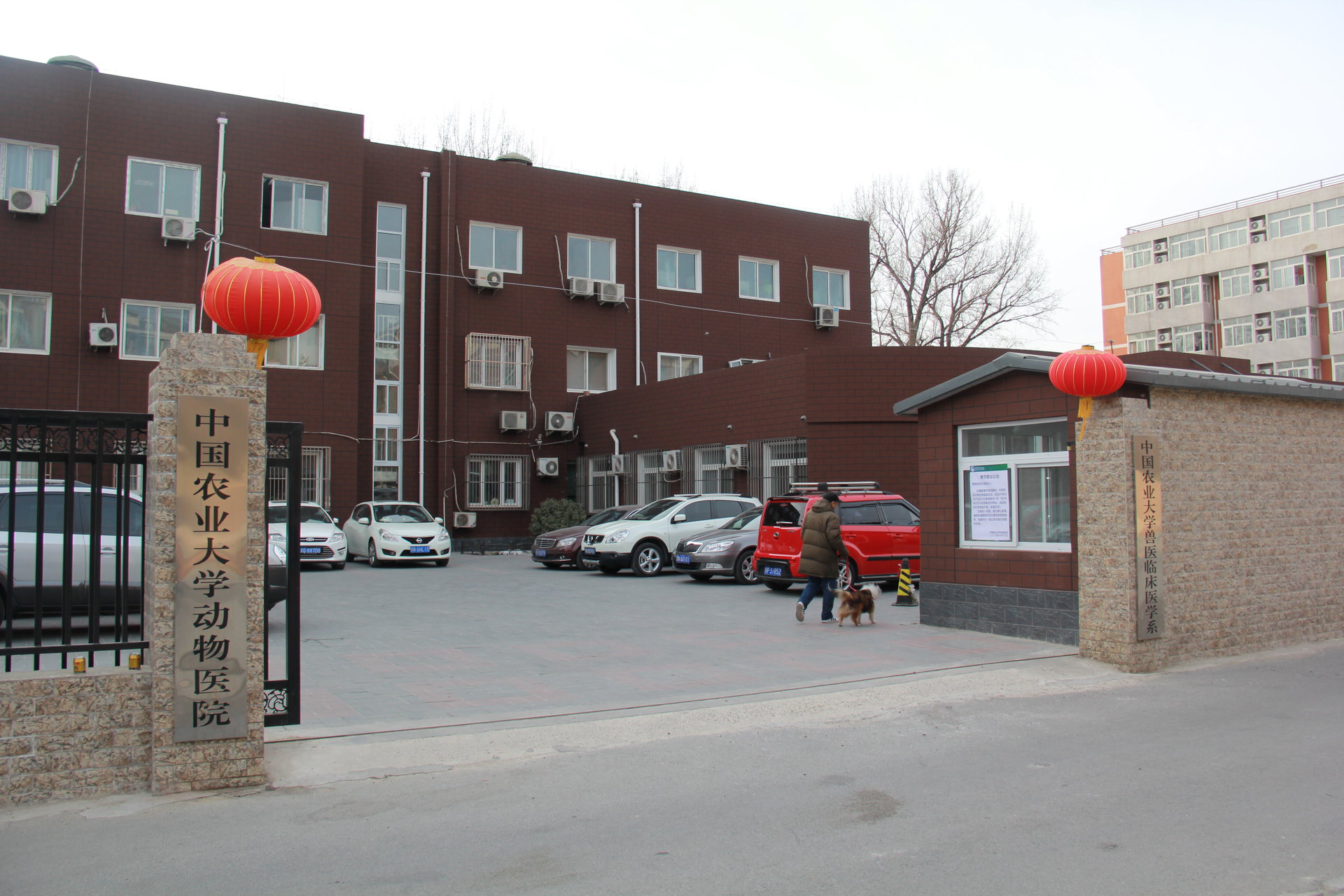 中國農業大學動物醫院