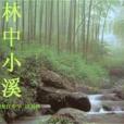 林中小溪 林中小溪