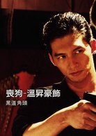 真的漢子(賴雅妍主演電視劇)