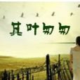 其葉匆匆 其葉匆匆