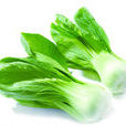 青江菜 青江菜
