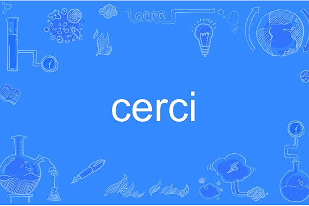 cerci cerci