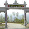 中國田魚村 中國田魚村