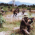 越南軍事