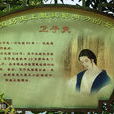 衛子夫(西漢時漢武帝第二任皇后) 衛子夫(西漢時漢武帝第二任皇后)