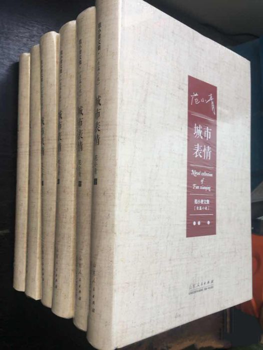 城市表情(范小青所著的長篇小說) 城市表情(范小青所著的長篇小說)