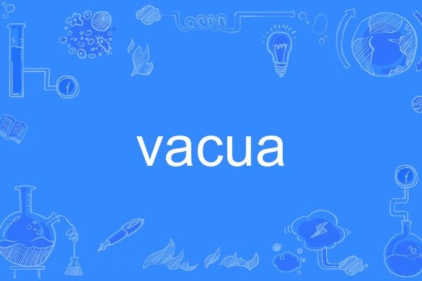 vacua vacua