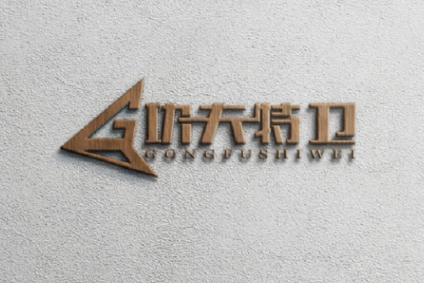 功夫特衛 功夫特衛