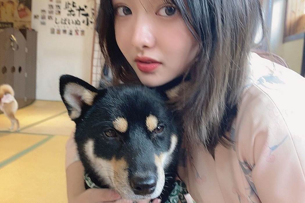 鄭貝姚