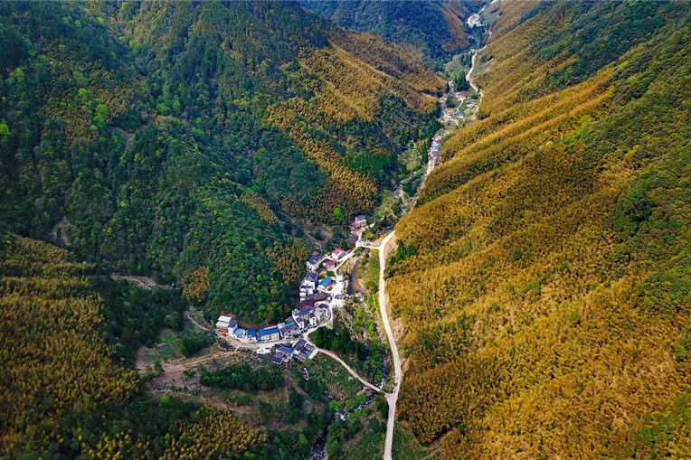 高近村 高近村