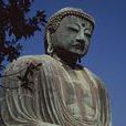 鎌倉佛教 鎌倉佛教