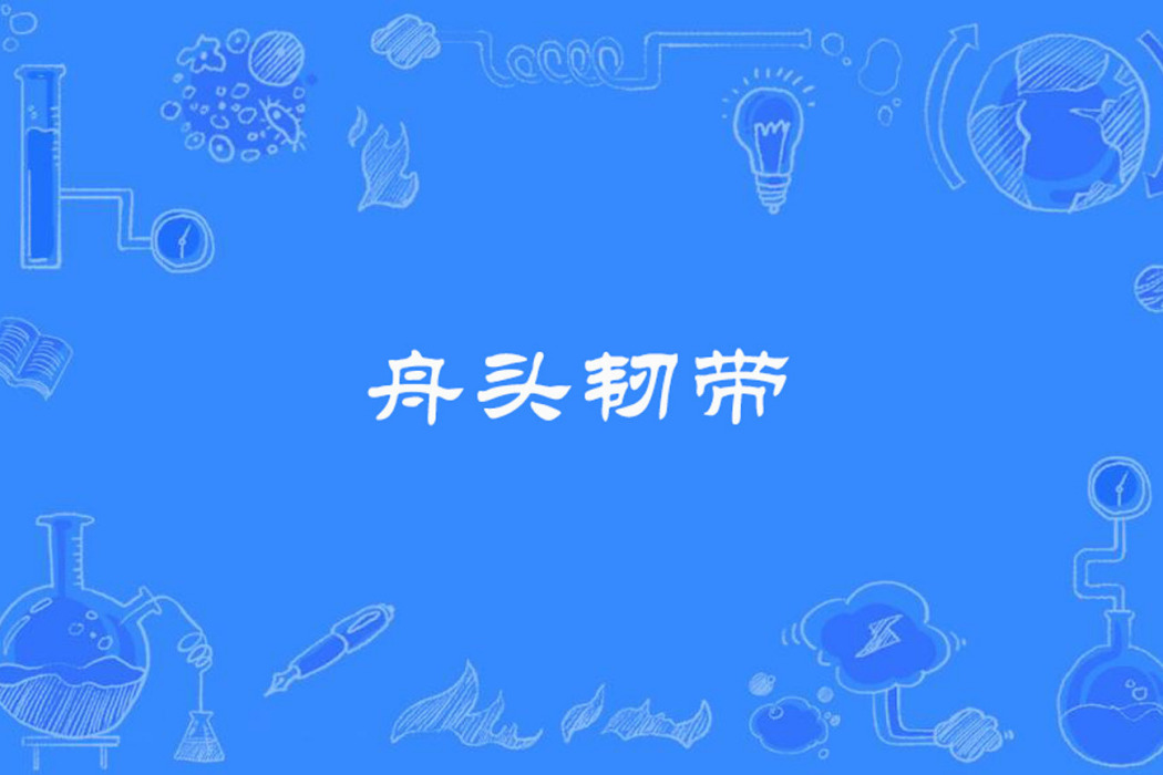 舟頭韌帶