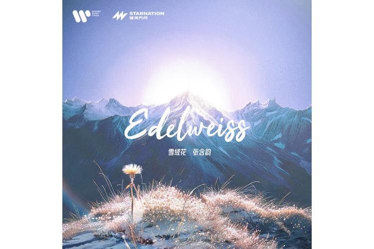 雪絨花(張含韻演唱歌曲) 雪絨花(張含韻演唱歌曲)