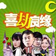 喜劫良緣(愛情劇電影) 喜劫良緣(愛情劇電影)
