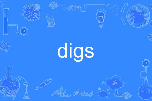 digs digs